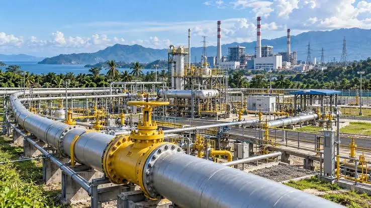 Gas yang Sebelumnya Diekspor ke Singapura Kini Dialirkan ke PLN Batam