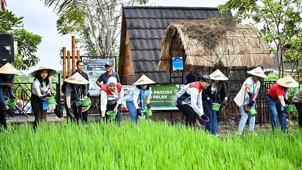 Pertamina Dorong Kemandirian Ekonomi melalui 310 Titik Desa Energi Berdikari