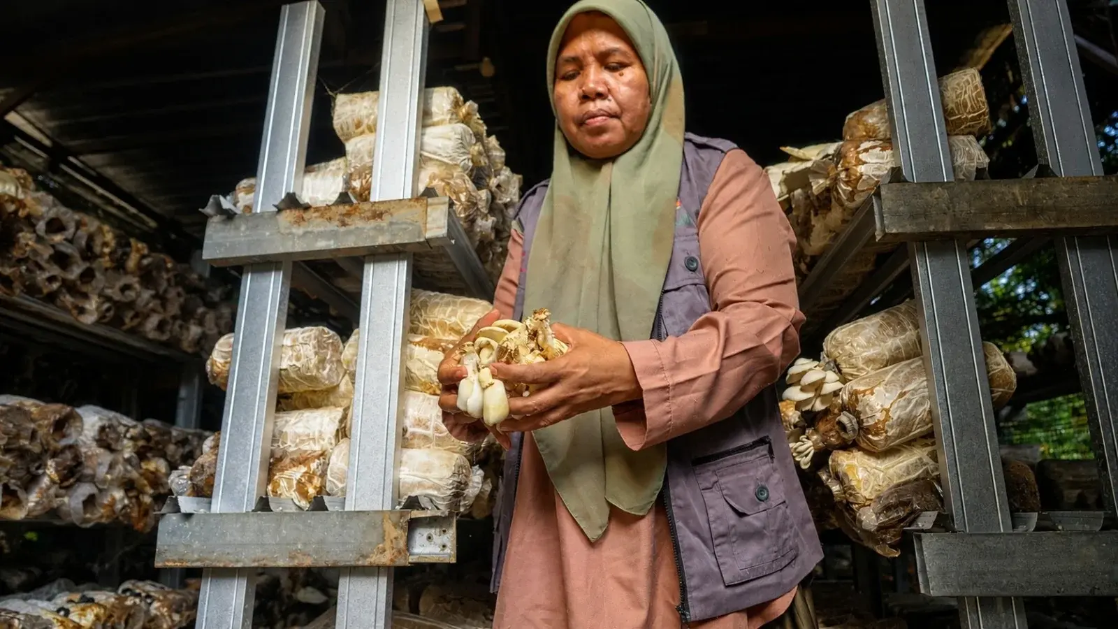 Setahun Desa Berdaya Medana, PLN dan Klub Baca Perempuan Perkuat Ekonomi Berbasis Aksi Sosial