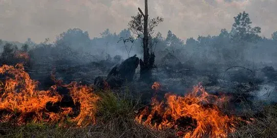Klik foto untuk mengubah keterangan atau menghapus Gambar Artikel